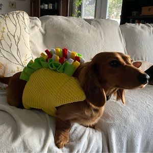 Dog Taco Costume